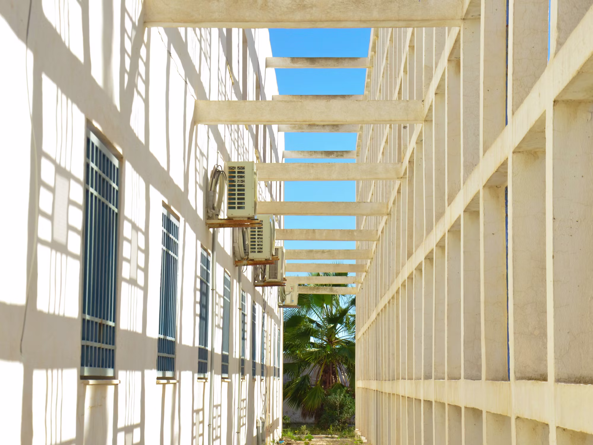 The Evolution of Higher Education: Trends Shaping the Future