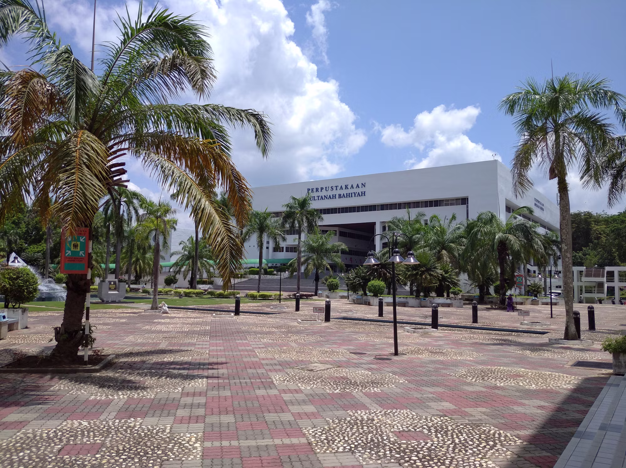 The Digital Revolution: Transforming Libraries for Future Generations